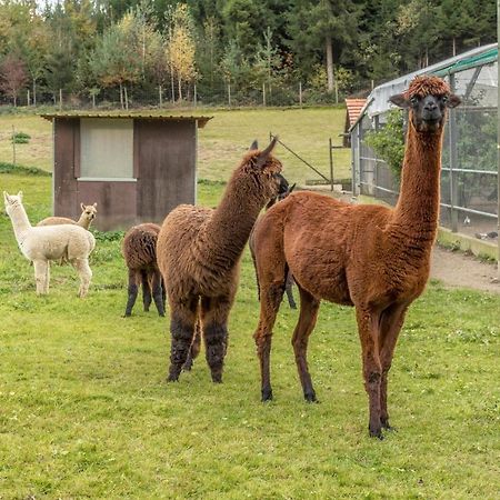 Appartamento Zapfs Bauernhof Stiefmuetterchen Tettnang Esterno foto